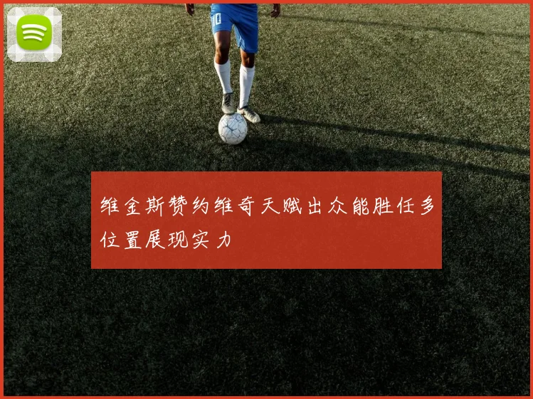 维金斯赞约维奇天赋出众能胜任多位置展现实力