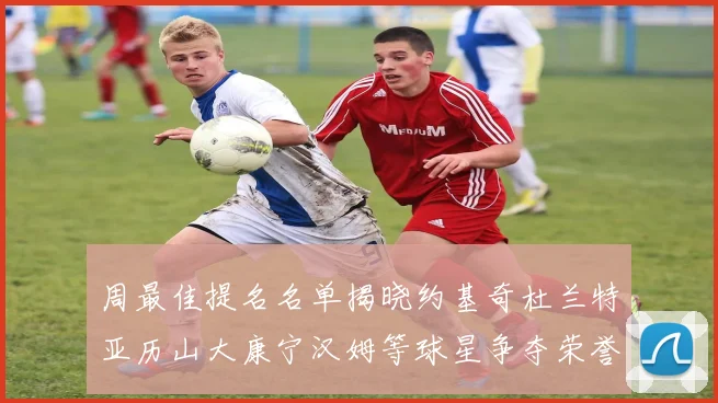 周最佳提名名单揭晓约基奇杜兰特亚历山大康宁汉姆等球星争夺荣誉