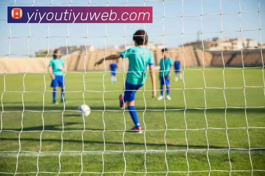 易游体育平台生态图